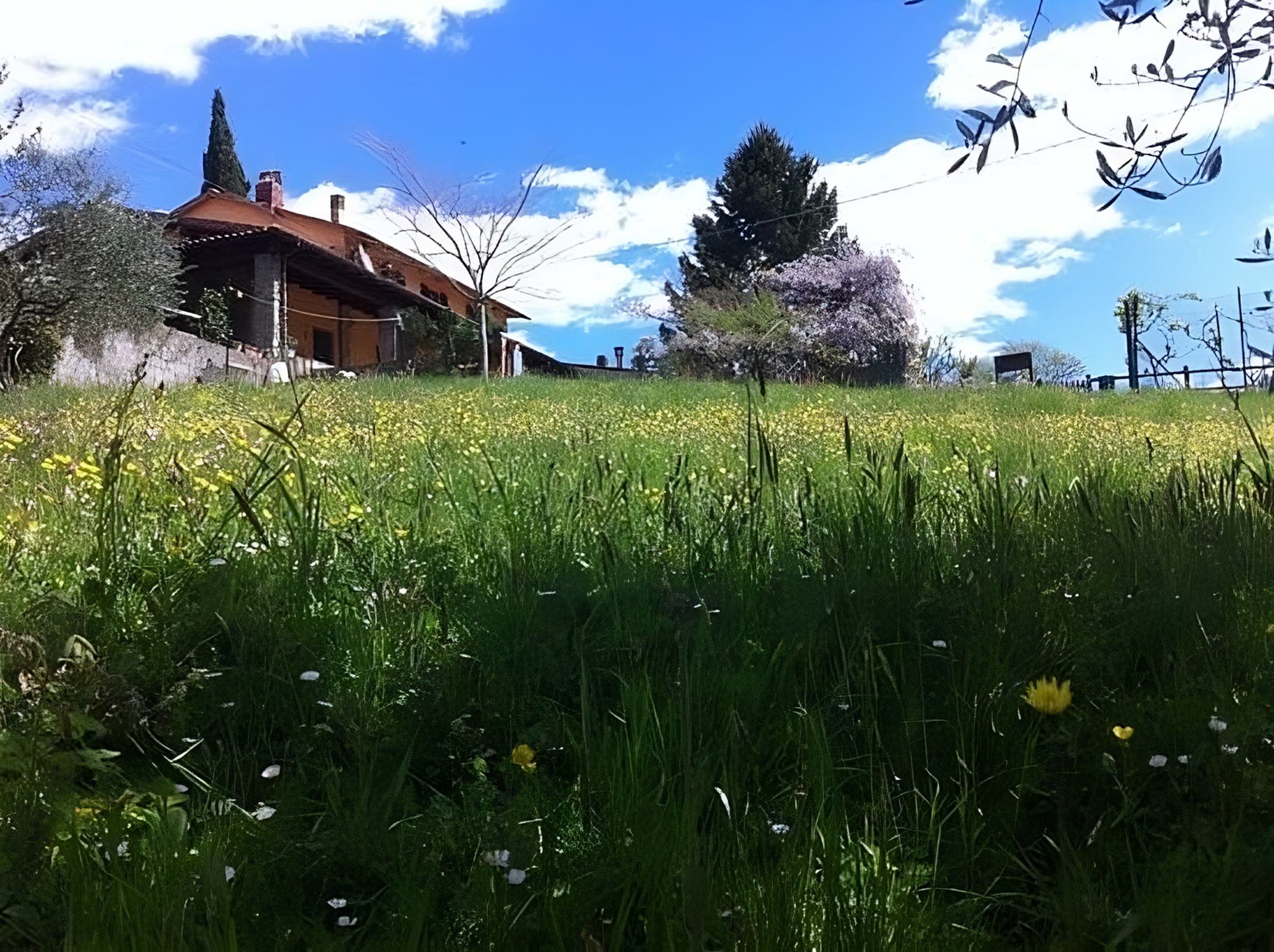 Agriturismo Selvapiana